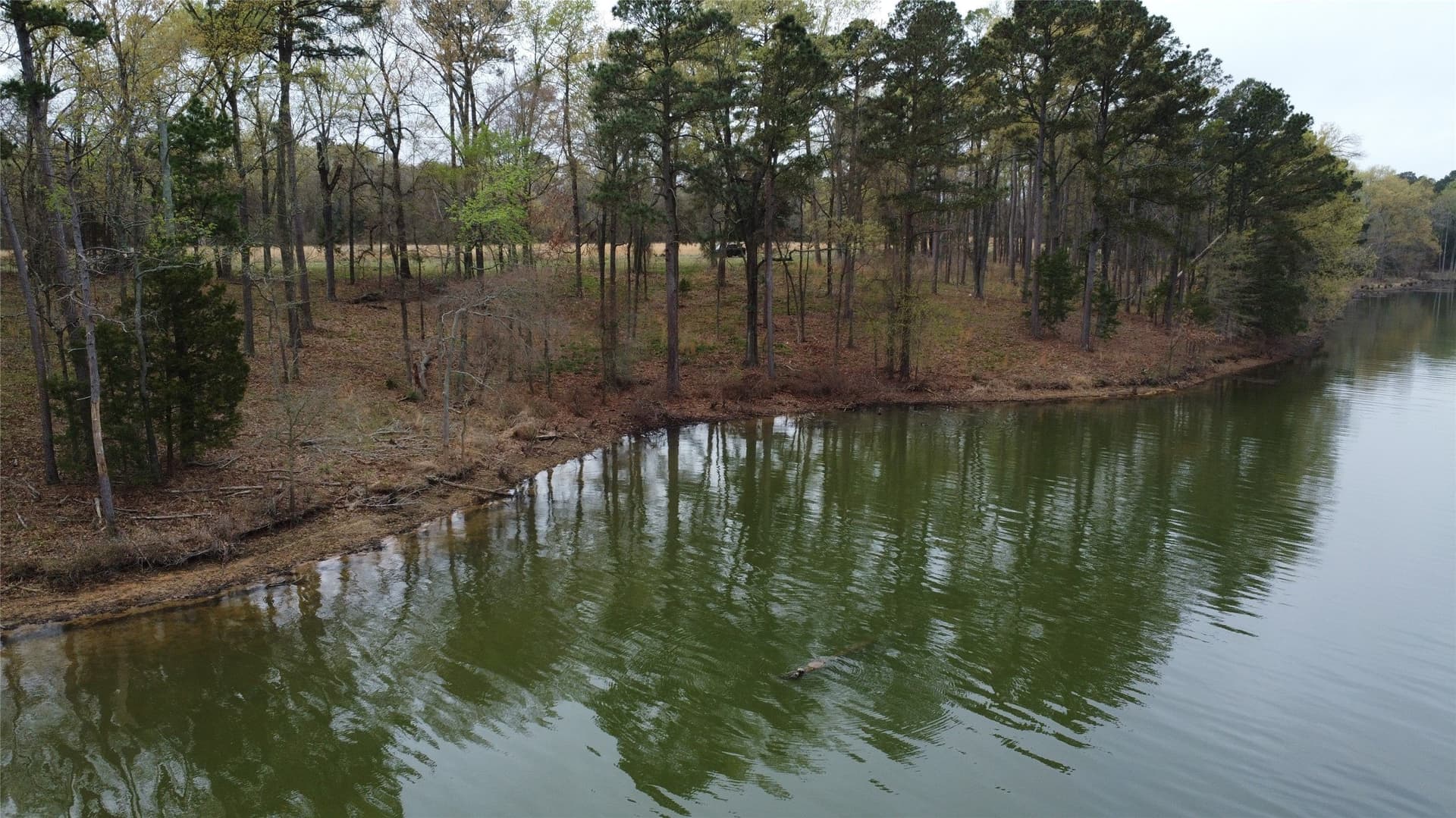 69.14 acres in Titus County - photo 3