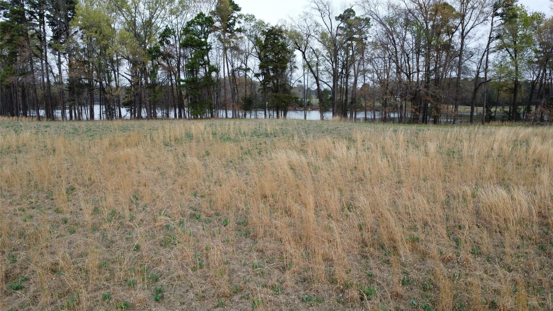 69.14 acres in Titus County - photo 34