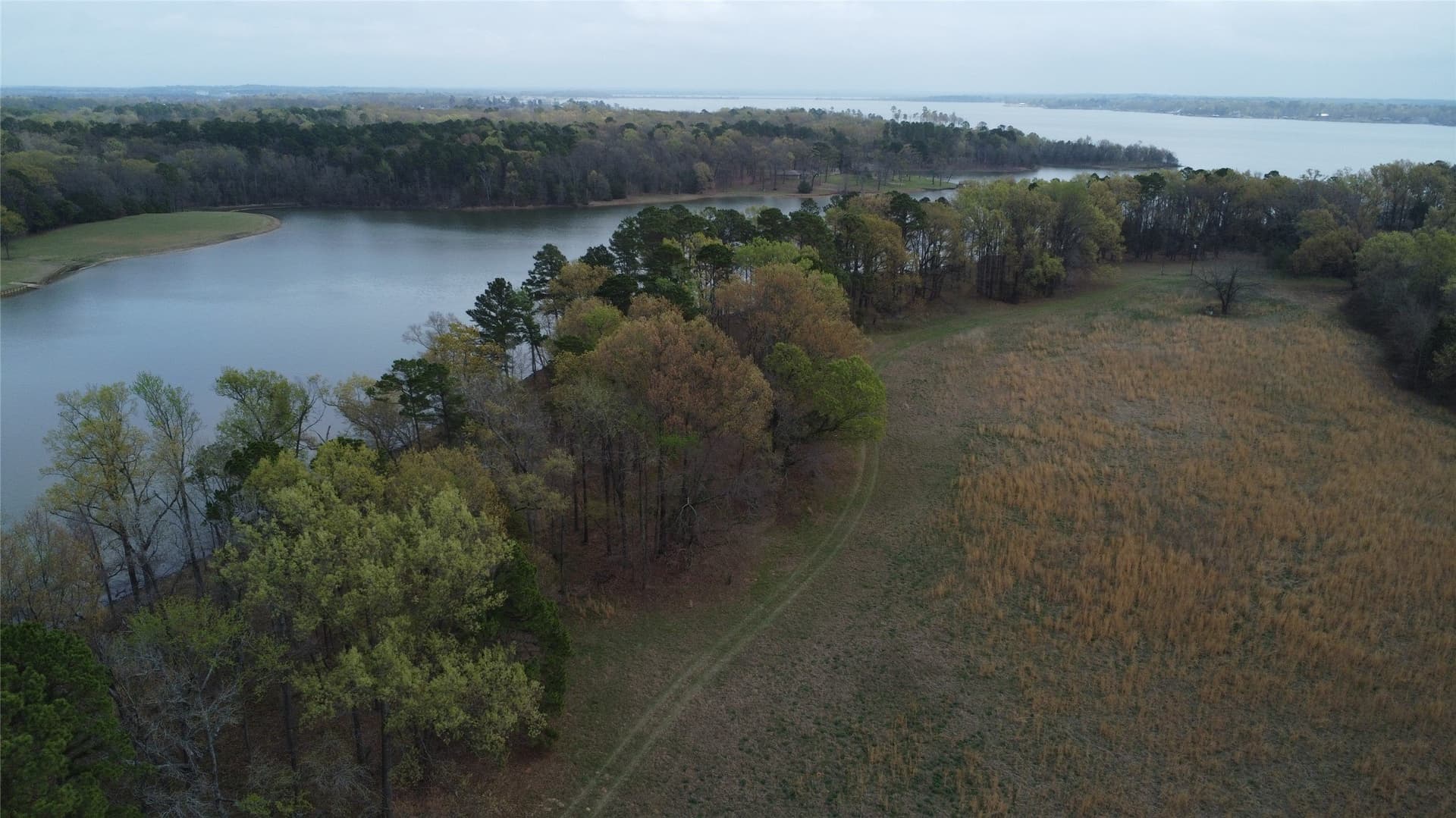 69.14 acres in Titus County - photo 29