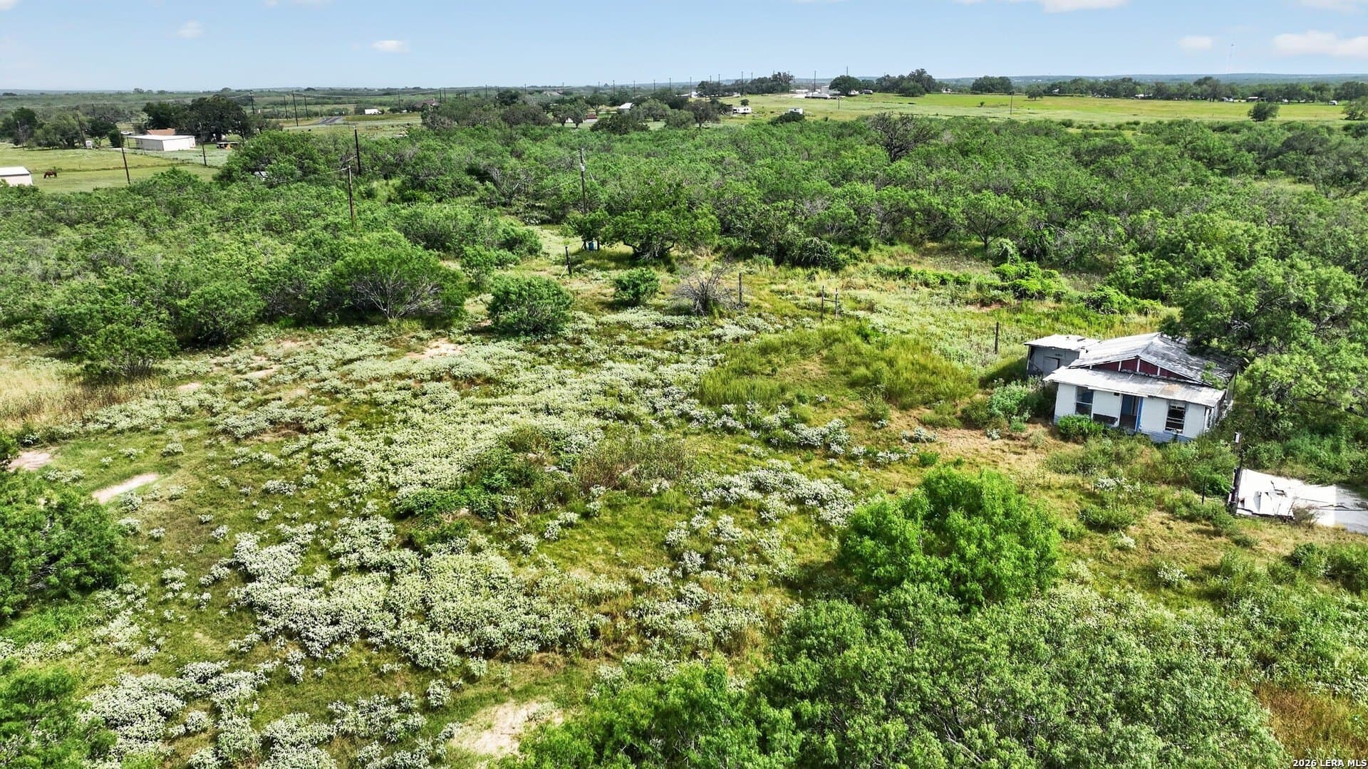 10 acres in Bexar County - photo 18