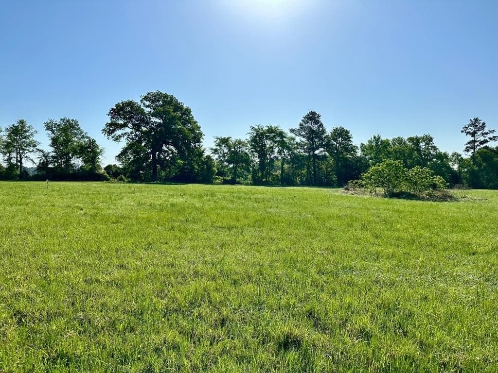 2 acres in Texas County gallery image 3