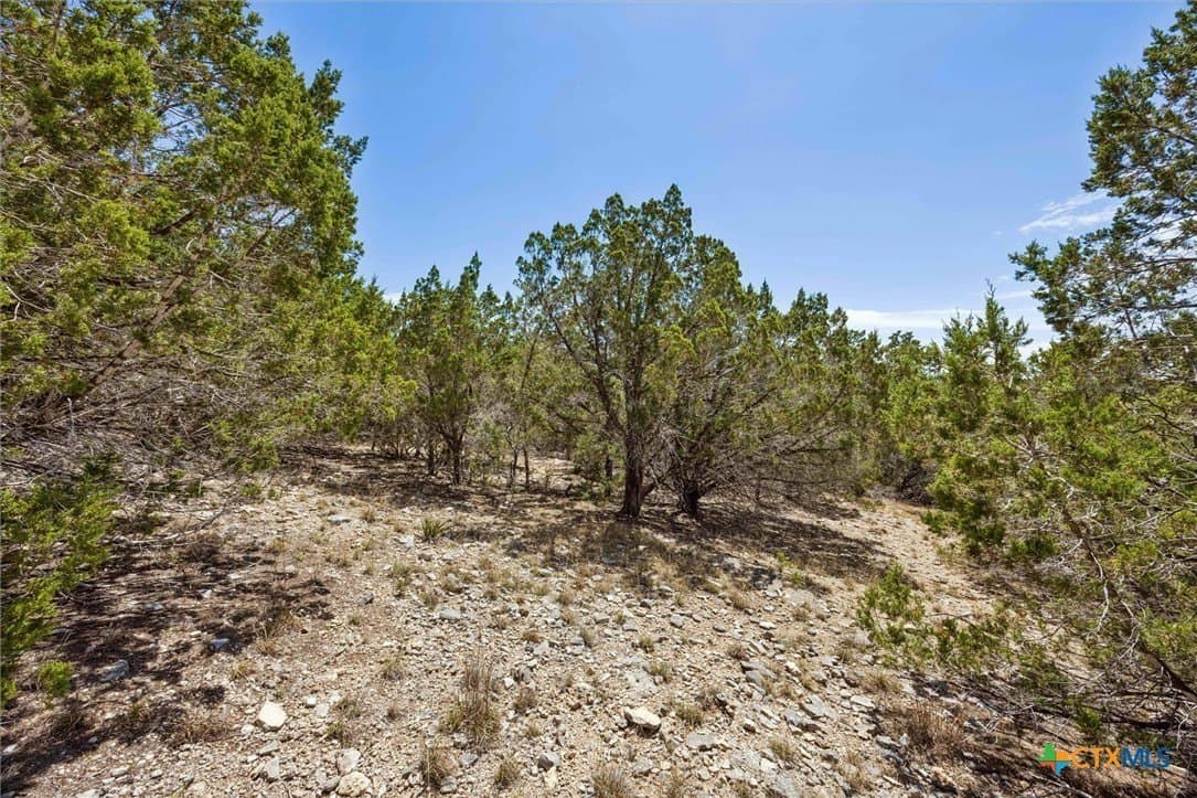 1.02 acres in Comal County - photo 7
