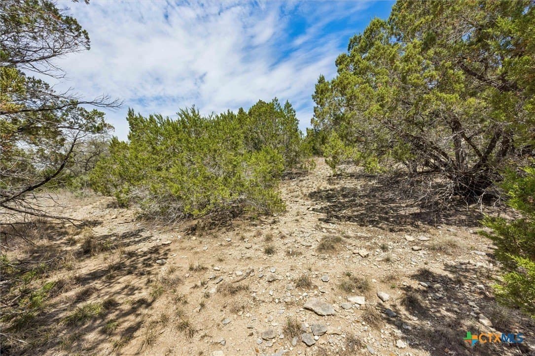 1.02 acres in Comal County - photo 8