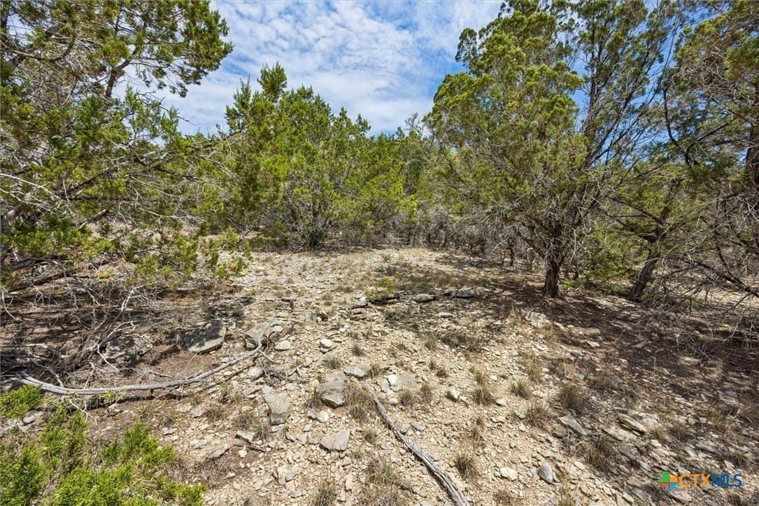 1.02 acres in Comal County - photo 11