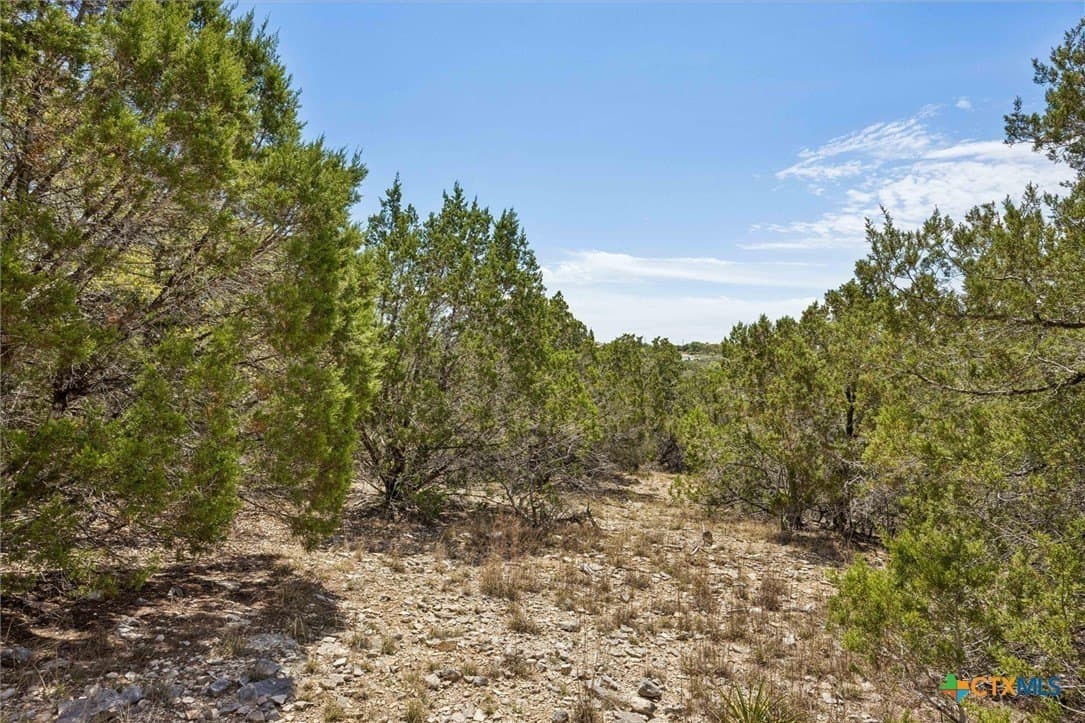 1.02 acres in Comal County - photo 6