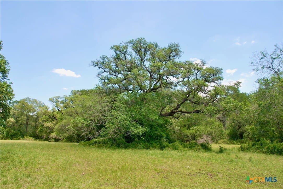 22.01 acres in Fayette County - photo 11