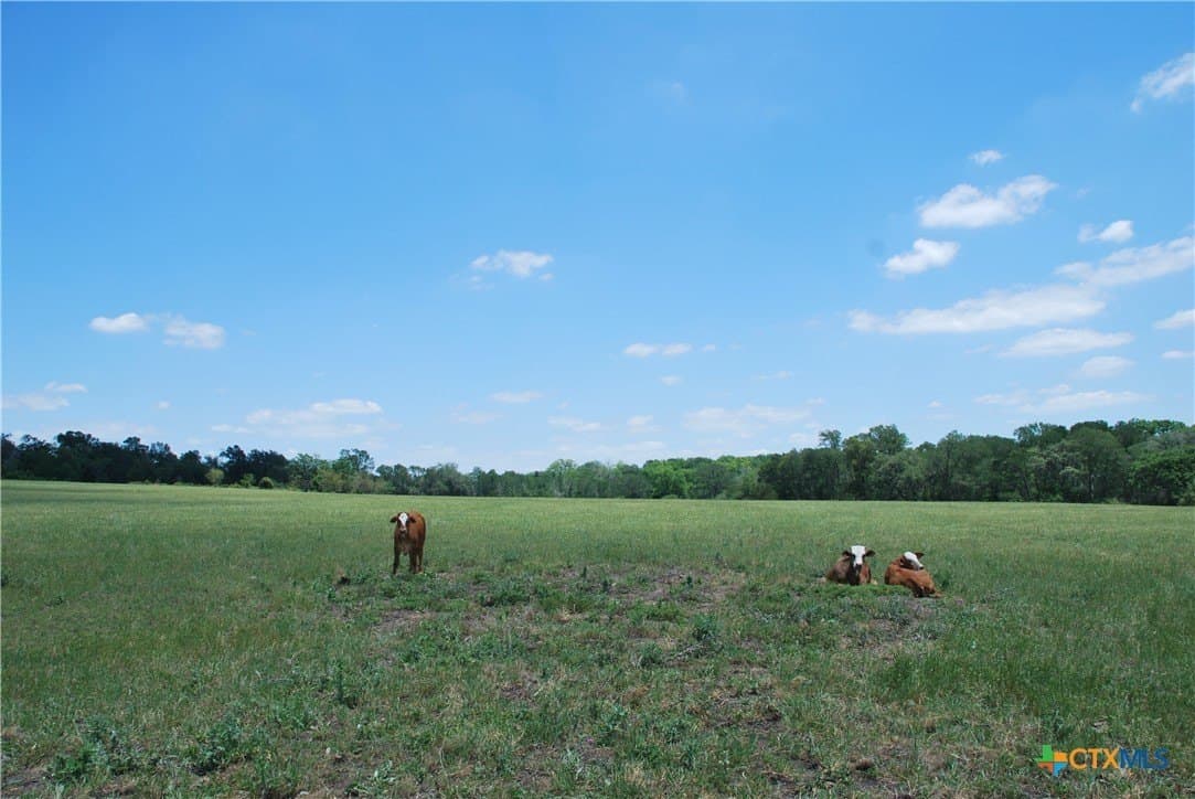 22.01 acres in Fayette County - photo 42