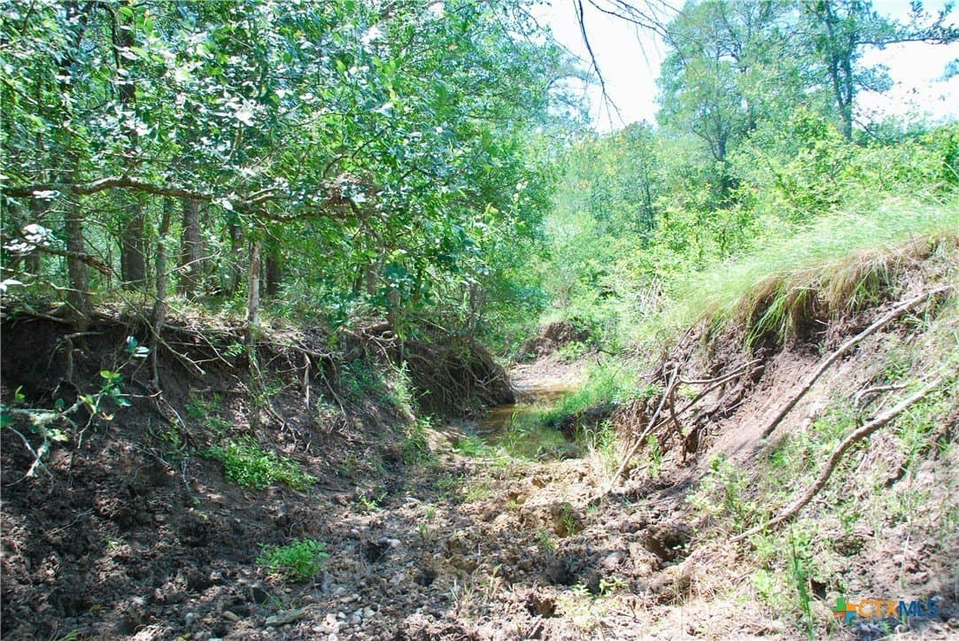 22.01 acres in Fayette County - photo 27