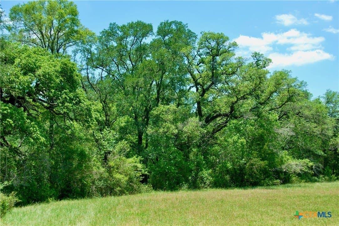 22.01 acres in Fayette County - photo 16