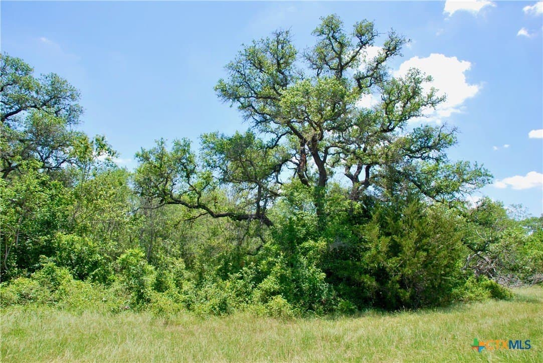 22.01 acres in Fayette County - photo 13