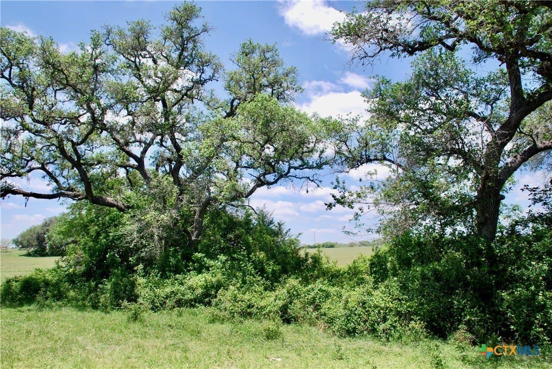 22.01 acres in Fayette County - photo 15