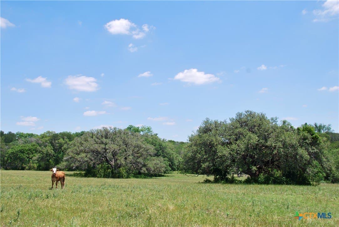 22.01 acres in Fayette County gallery image 4