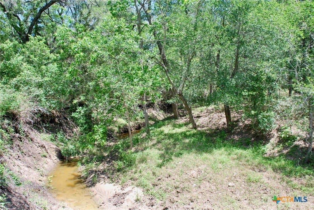 22.01 acres in Fayette County - photo 14