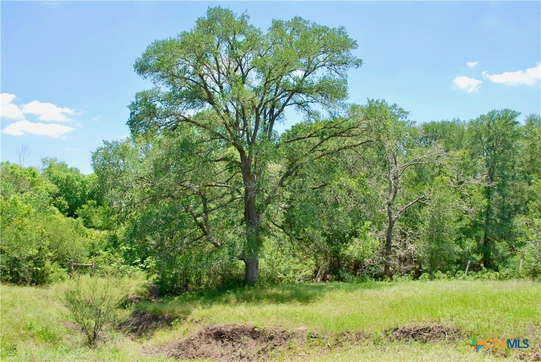22.01 acres in Fayette County - photo 26