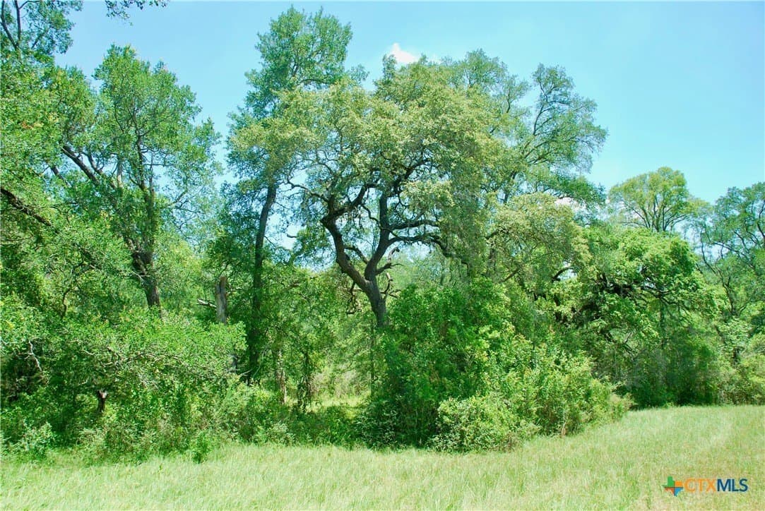 22.01 acres in Fayette County - photo 9