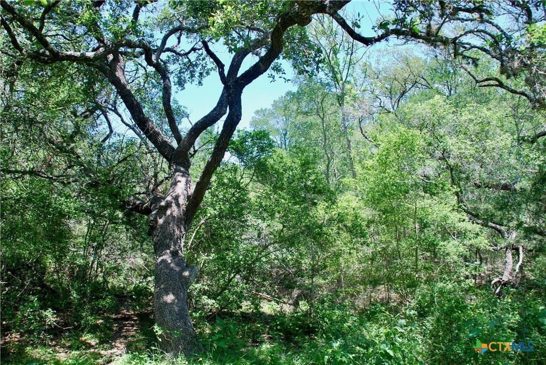 22.01 acres in Fayette County - photo 33