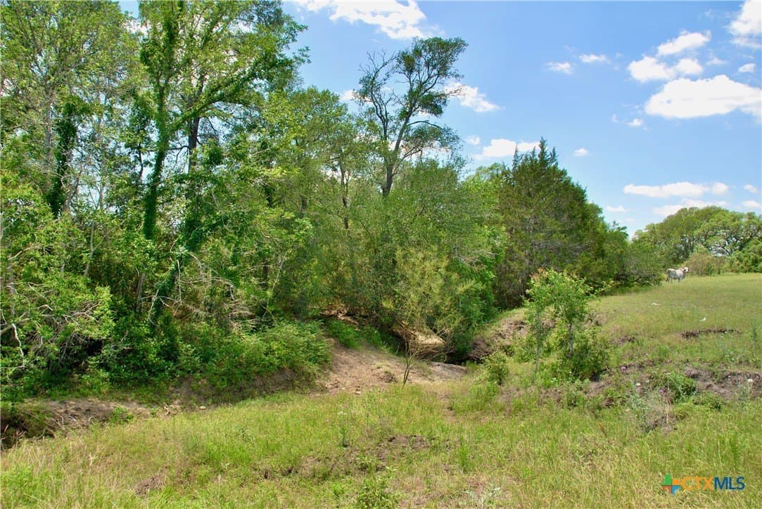 22.01 acres in Fayette County - photo 19