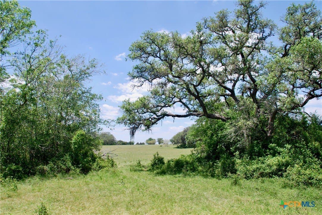 22.01 acres in Fayette County - photo 35