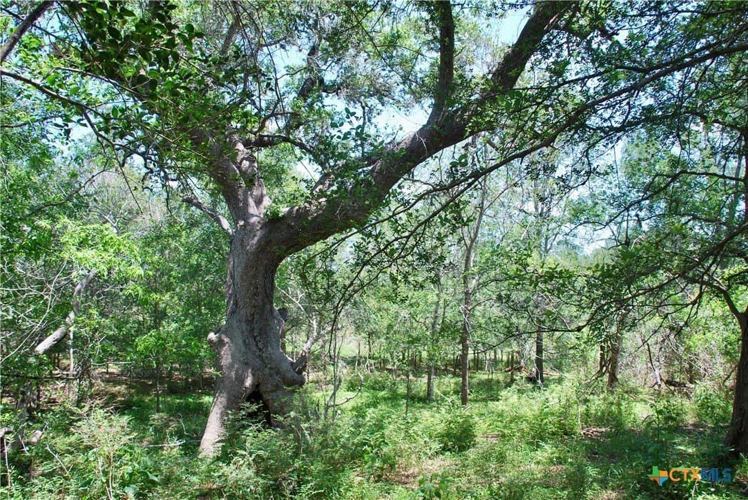 22.01 acres in Fayette County - photo 22