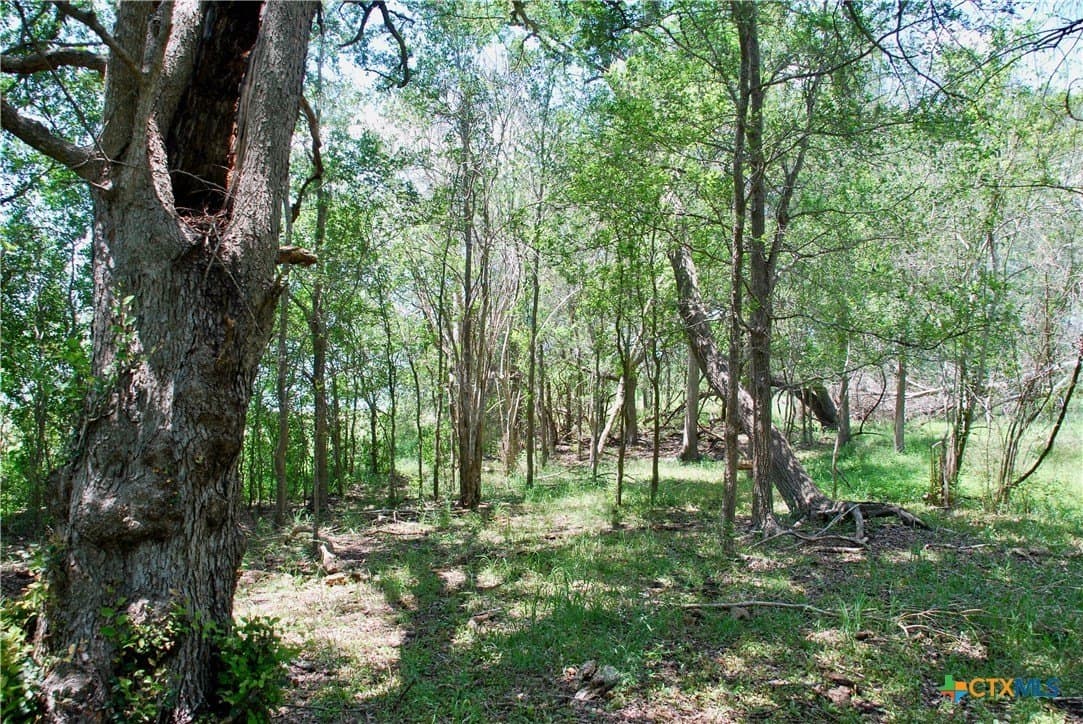 22.01 acres in Fayette County - photo 24