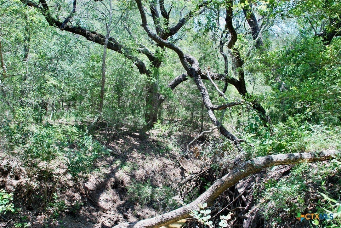 22.01 acres in Fayette County - photo 32