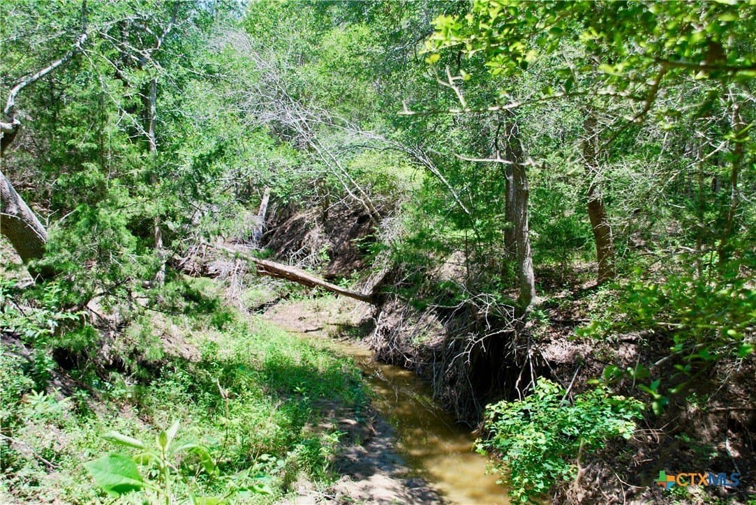 22.01 acres in Fayette County - photo 31