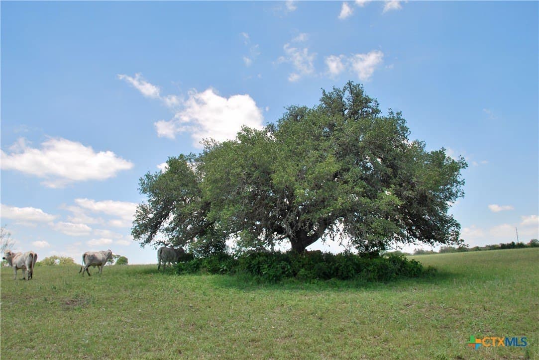 22.01 acres in Fayette County - photo 17