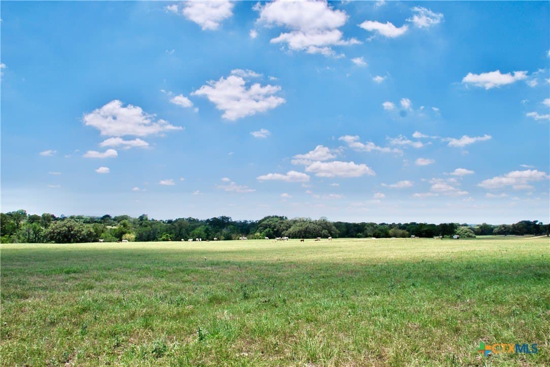 22.01 acres in Fayette County - photo 6