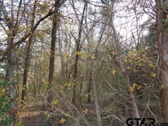 6.77 acres in Wood County gallery image 4