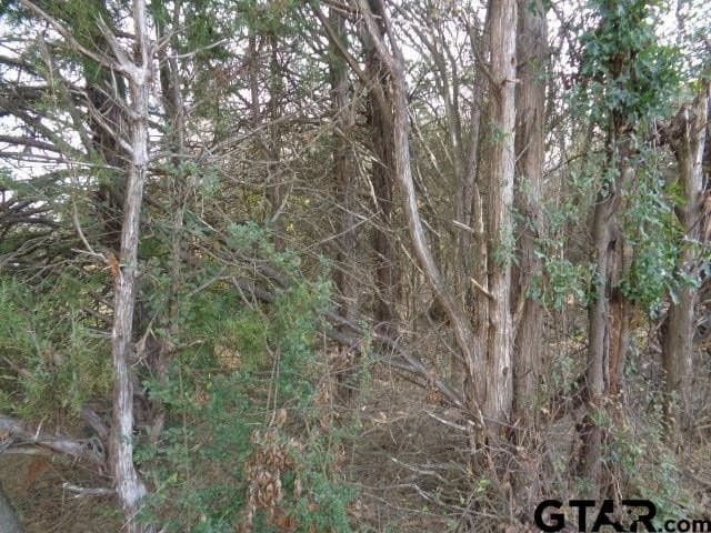 6.77 acres in Wood County gallery image 2