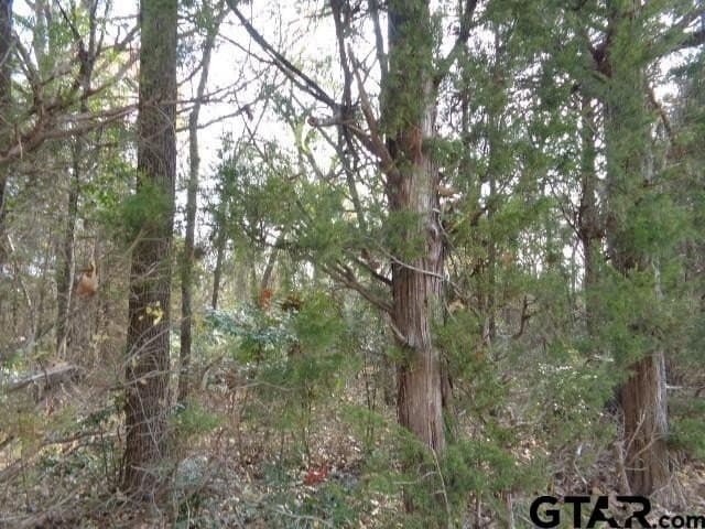 6.77 acres in Wood County featured view