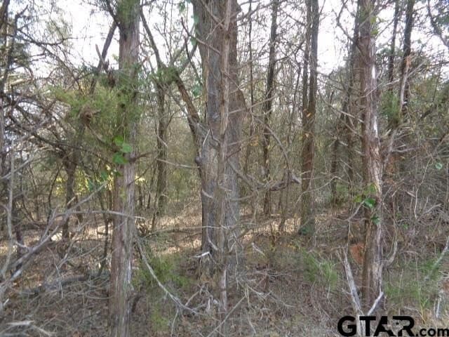 6.77 acres in Wood County gallery image 3