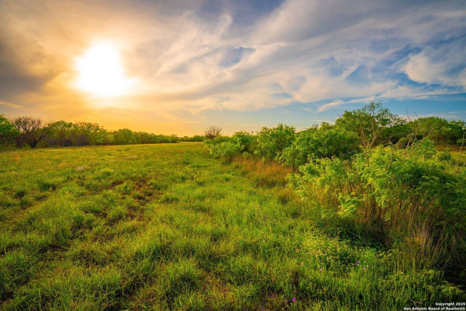 45 acres in Bee County