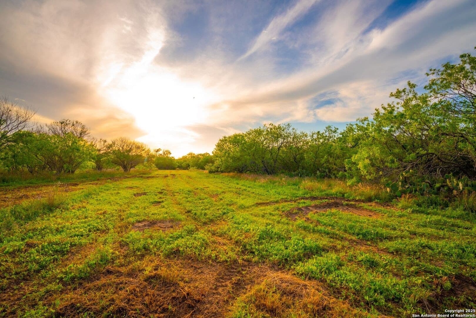 45 acres in Bee County gallery image 3