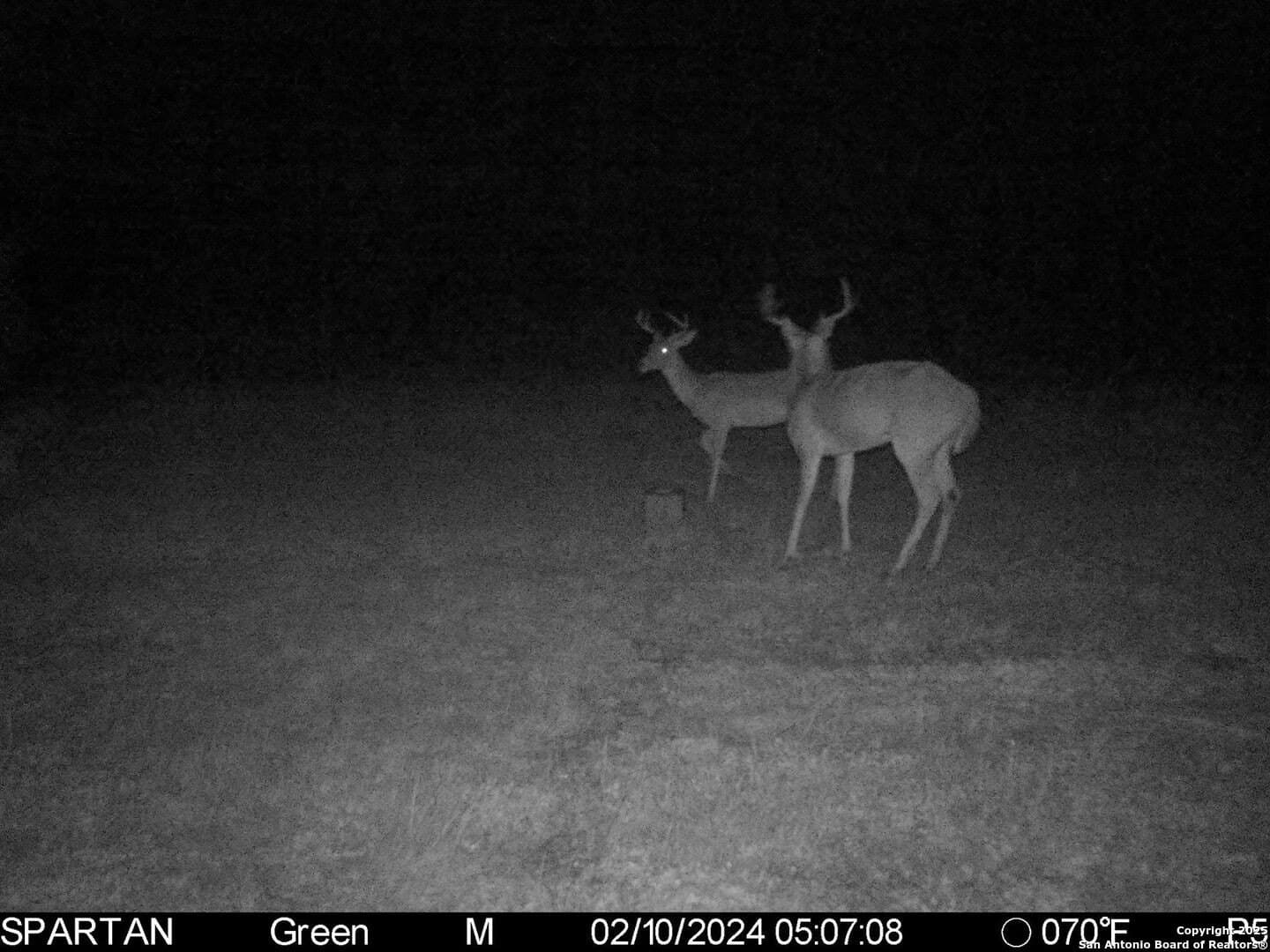 45 acres in Bee County featured view