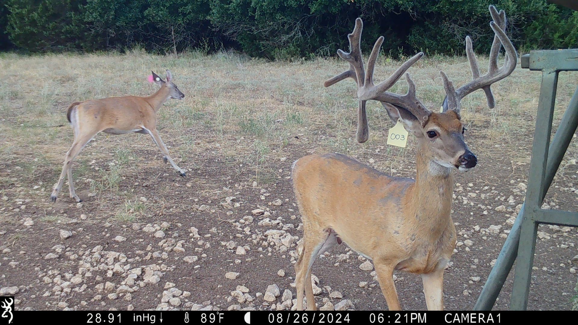 6.45 acres in Bosque County - photo 40
