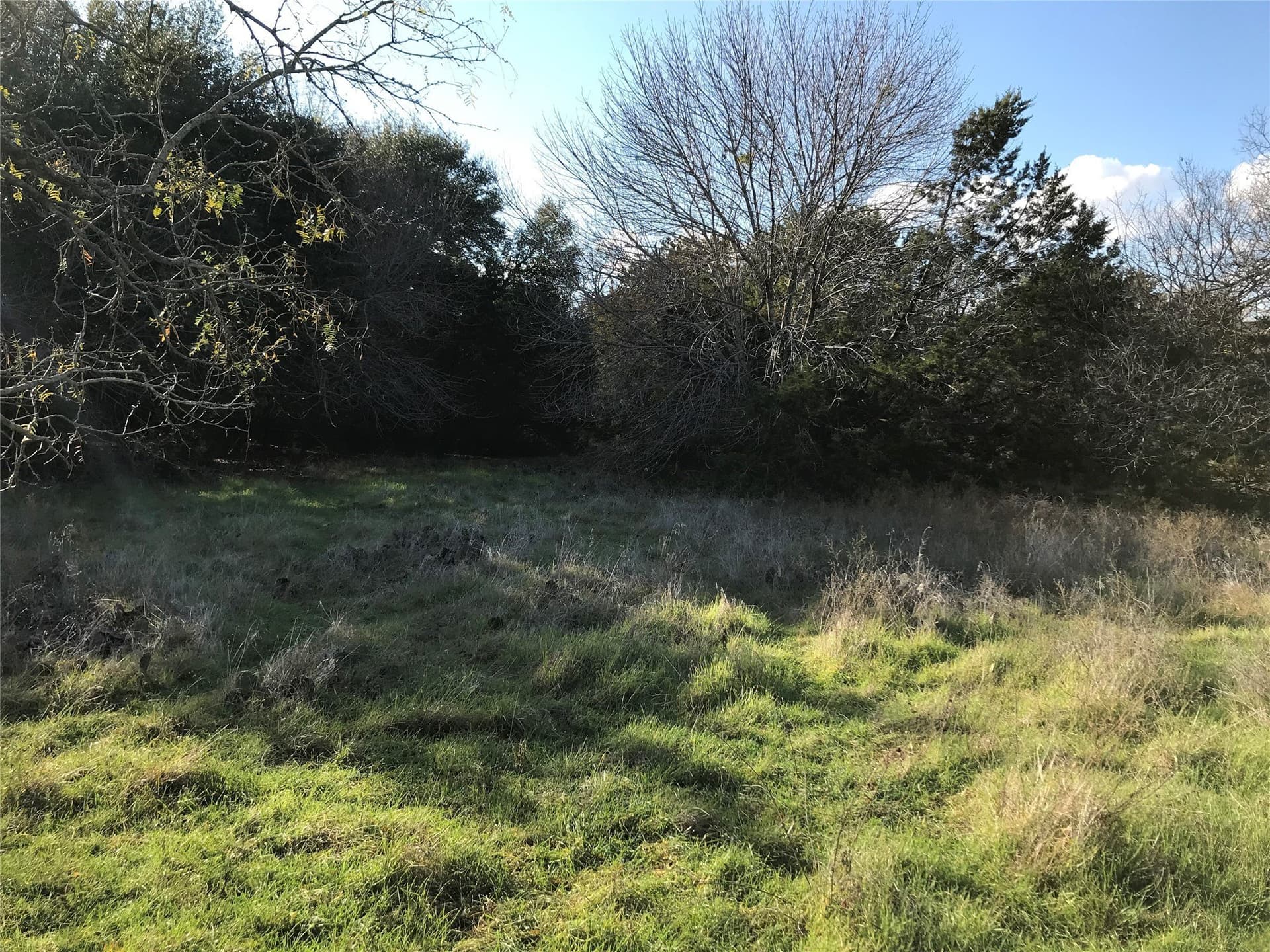 0.74 acres in Hill County - photo 7
