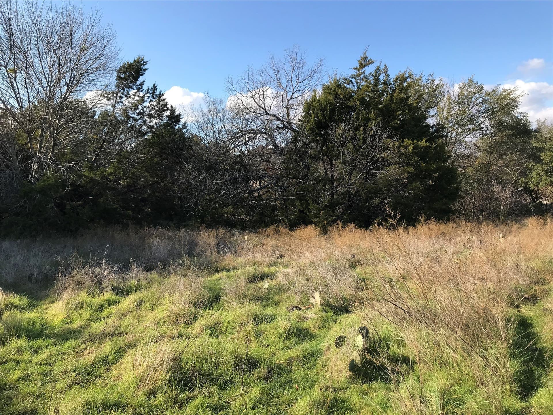 0.74 acres in Hill County - photo 9