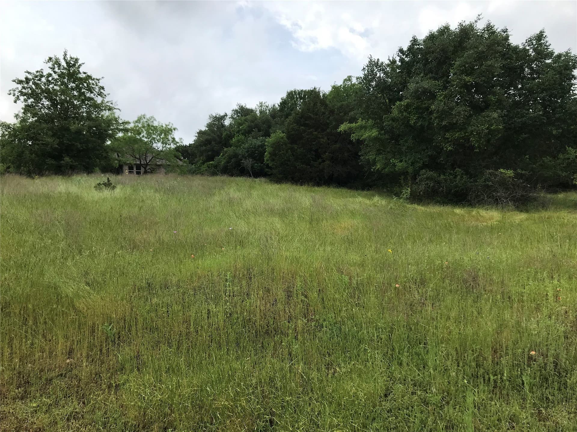 0.74 acres in Hill County gallery image 4