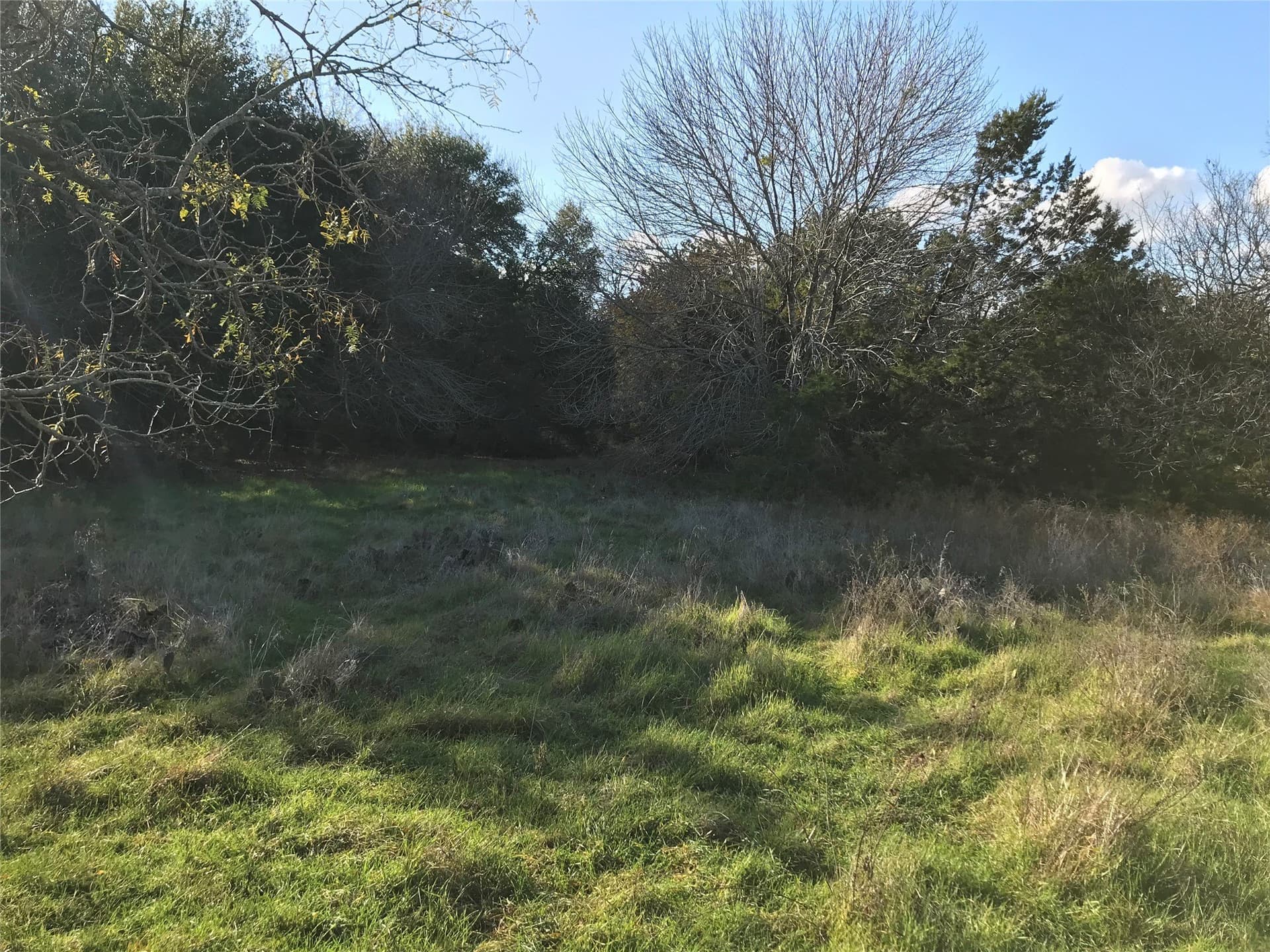 0.74 acres in Hill County - photo 6