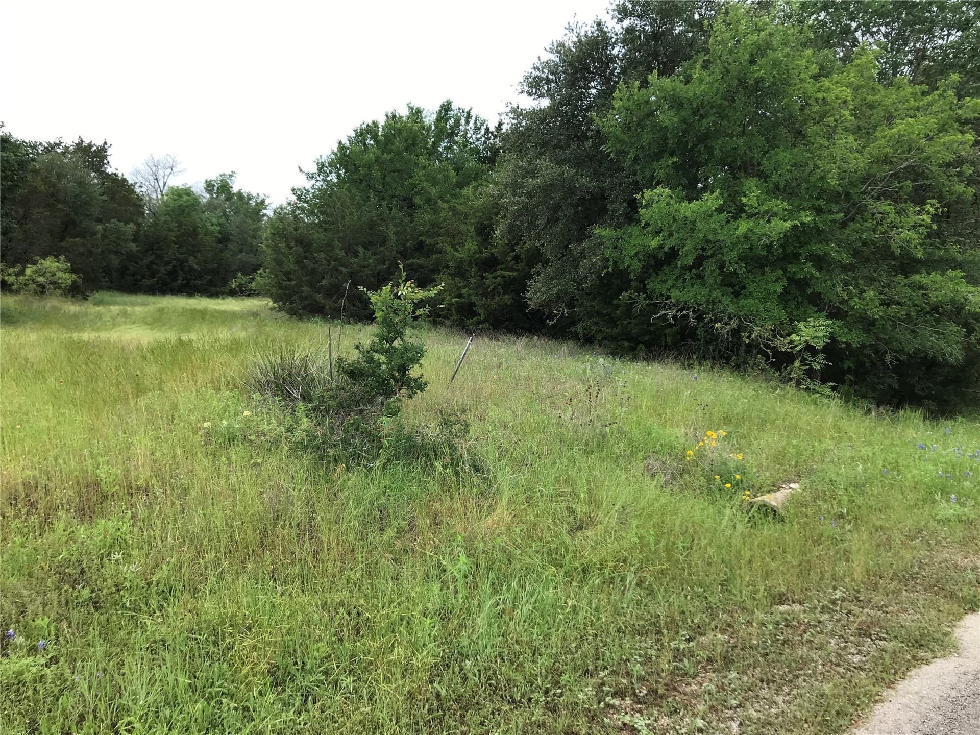 0.74 acres in Hill County gallery image 2