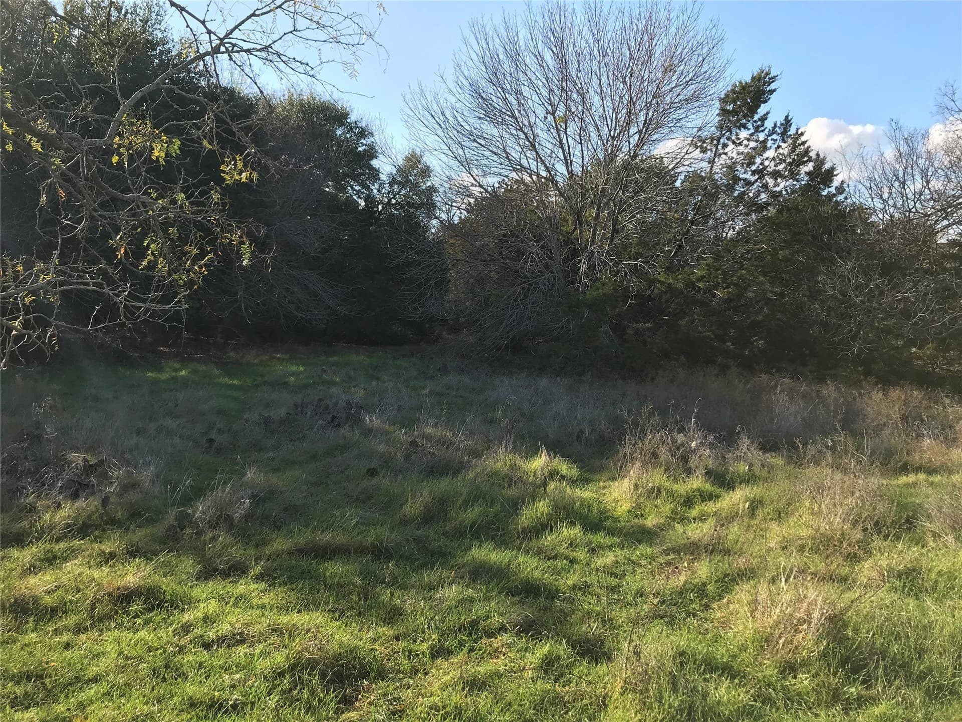 0.74 acres in Hill County - photo 8