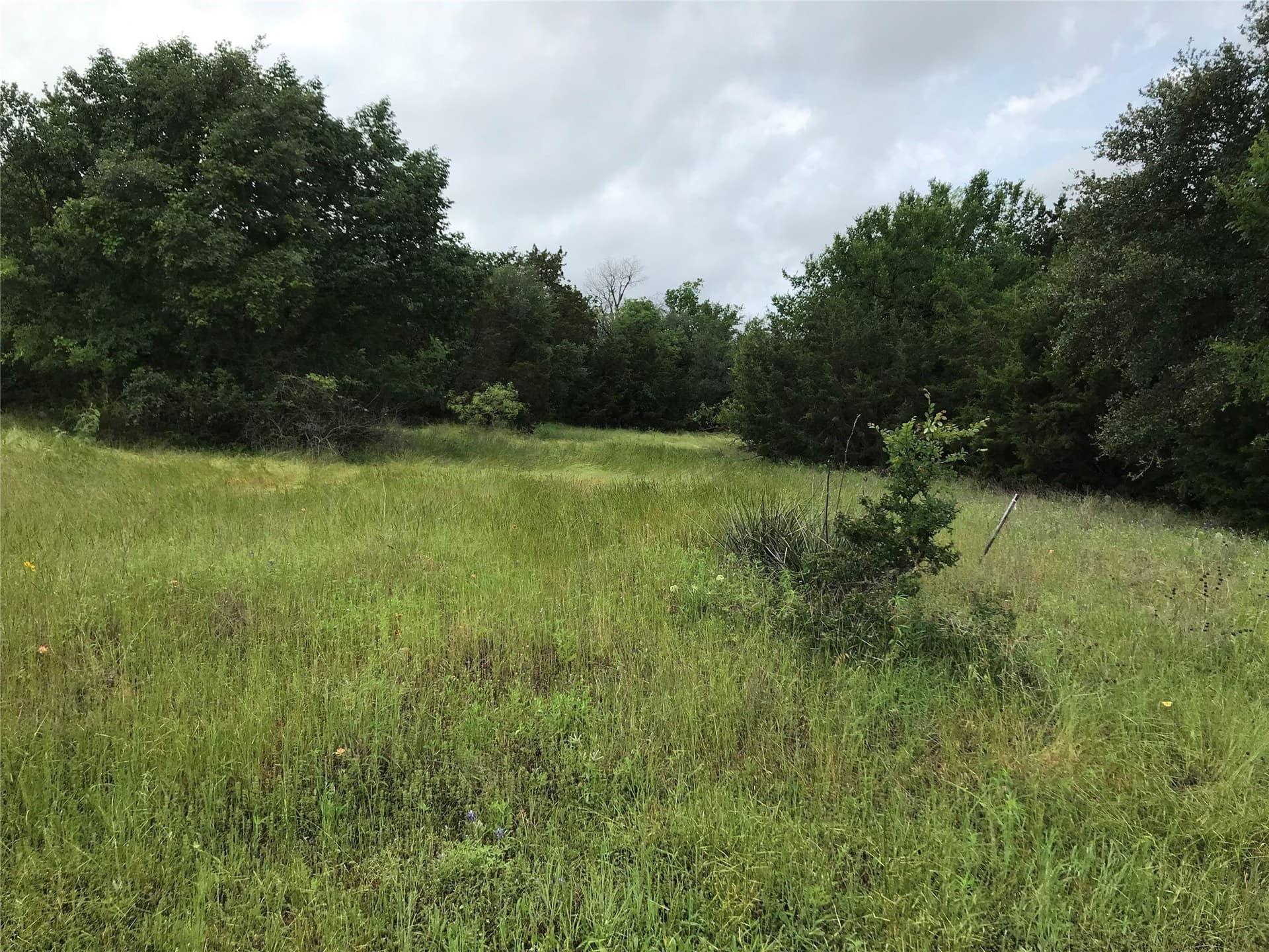 0.74 acres in Hill County gallery image 3