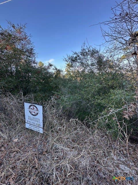 0.2 acres in Bastrop County featured view