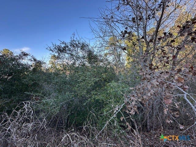 0.2 acres in Bastrop County