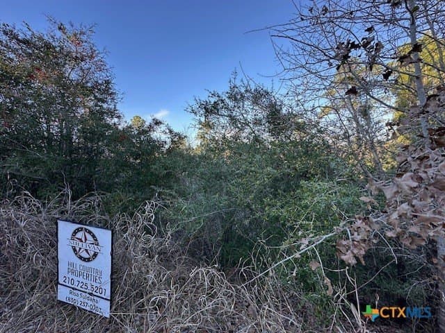 0.2 acres in Bastrop County gallery image 3