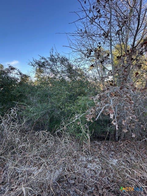 0.2 acres in Bastrop County gallery image 4