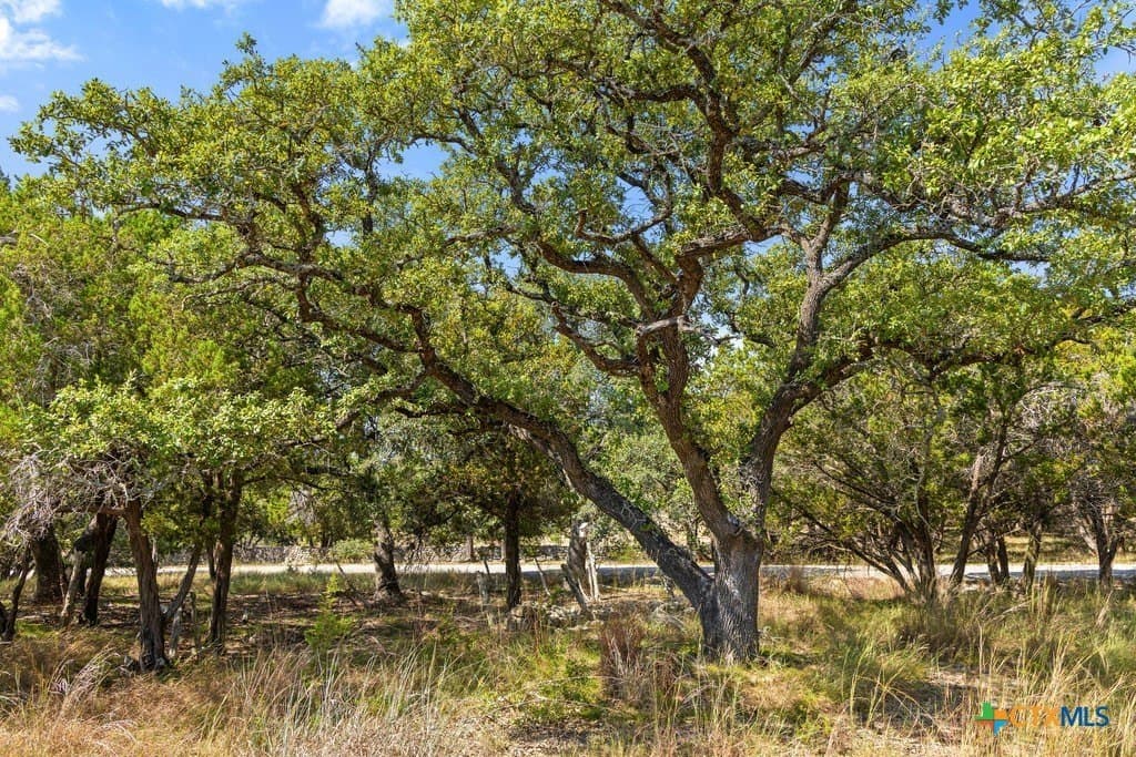 11.74 acres in Blanco County - photo 25