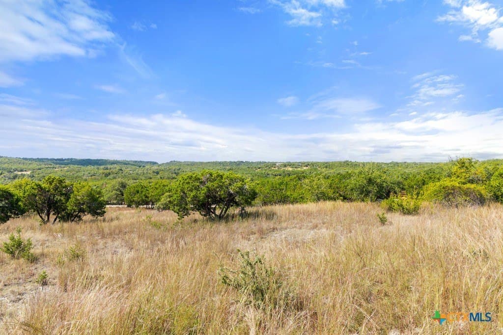 11.74 acres in Blanco County - photo 21