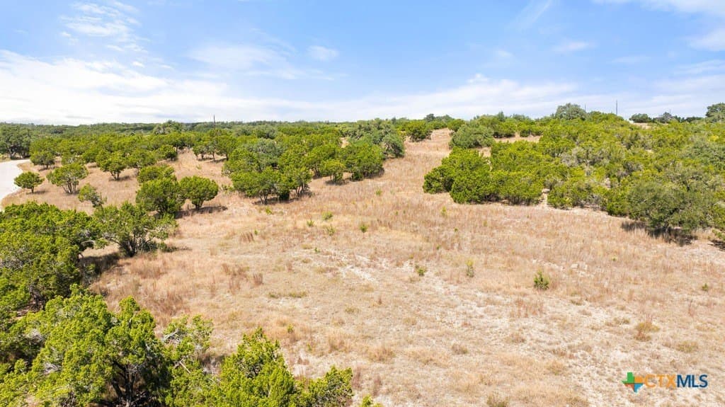 11.74 acres in Blanco County - photo 10